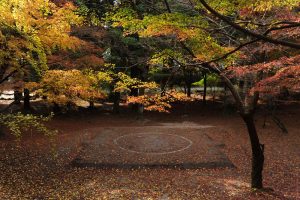 Sumo ground, dohyo, with red leaves in fall at Kirishima Shrine in Kagoshima, Kyushu.