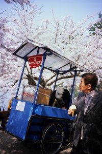 Man eaing an ice cream in a park with Sakura