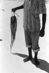 A man fished a squid in Paje, Zanzibar, Tanzania.