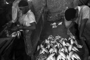 Fish market in Stone Town, Zanzibar, Tanzania.