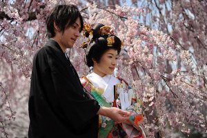 A just married Japanese couple in Arashiyama with sakura. She is wearing an amazing kimono all sawed