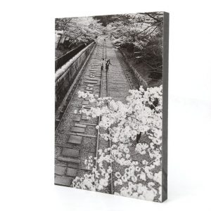 Girls walking on a railway in Kyoto during cherry blossom season